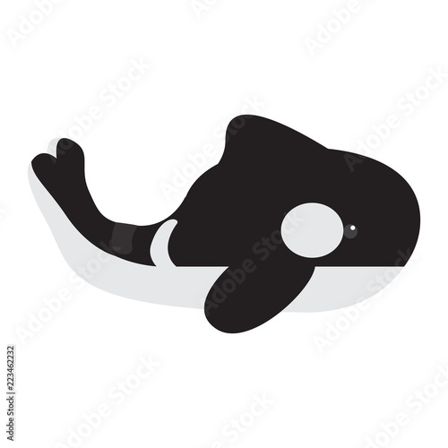 Isolated stuffed killer whale toy