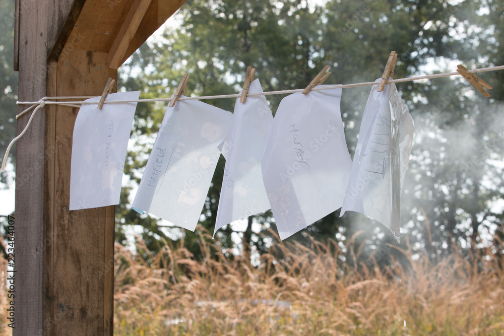 Photosensitive paper drying on a line Photosensitive paper drying on a line