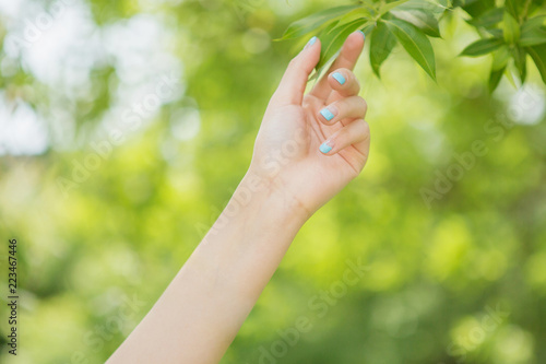 the touch of a leaf in the green background