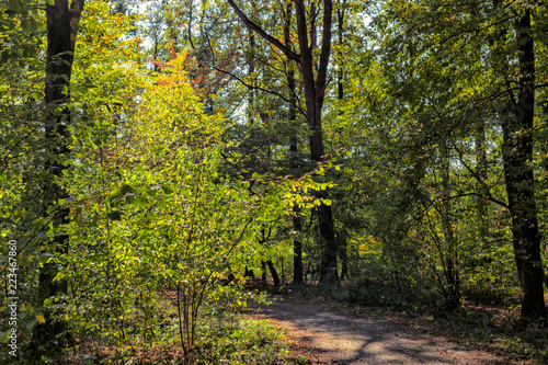 a sunny day in september