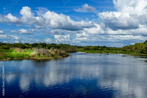 Fototapeta Naklejka Na Ścianę i Meble -  Myakka River State Park, Florida