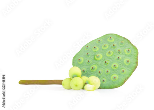 Fresh Lotus seed Isolated on the white background photo