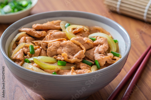 Fried pork with rice in bowl. Japanese food style, Donburi