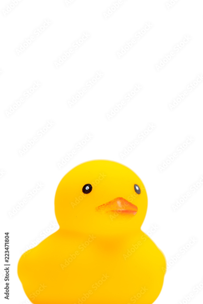 アヒルのおもちゃ アヒルのおもちゃ