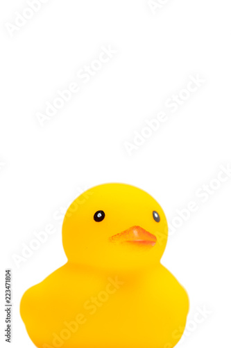 アヒルのおもちゃ