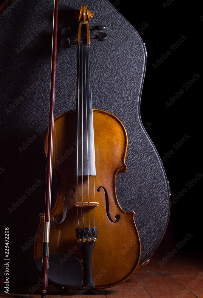 Fototapeta premium Violín