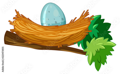 Egg in nest branch