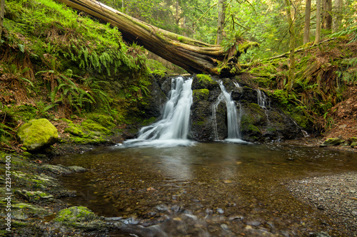 Rustic Falls on Orcas Island in the San Juan Islands  Washington