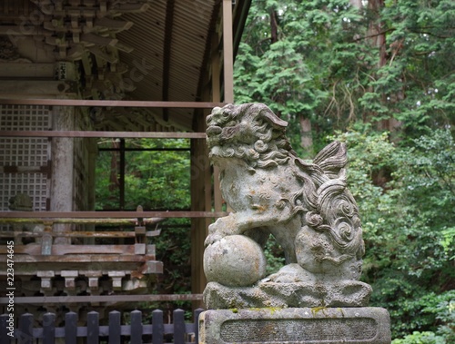 苔が美しい福井県勝山市の平泉寺