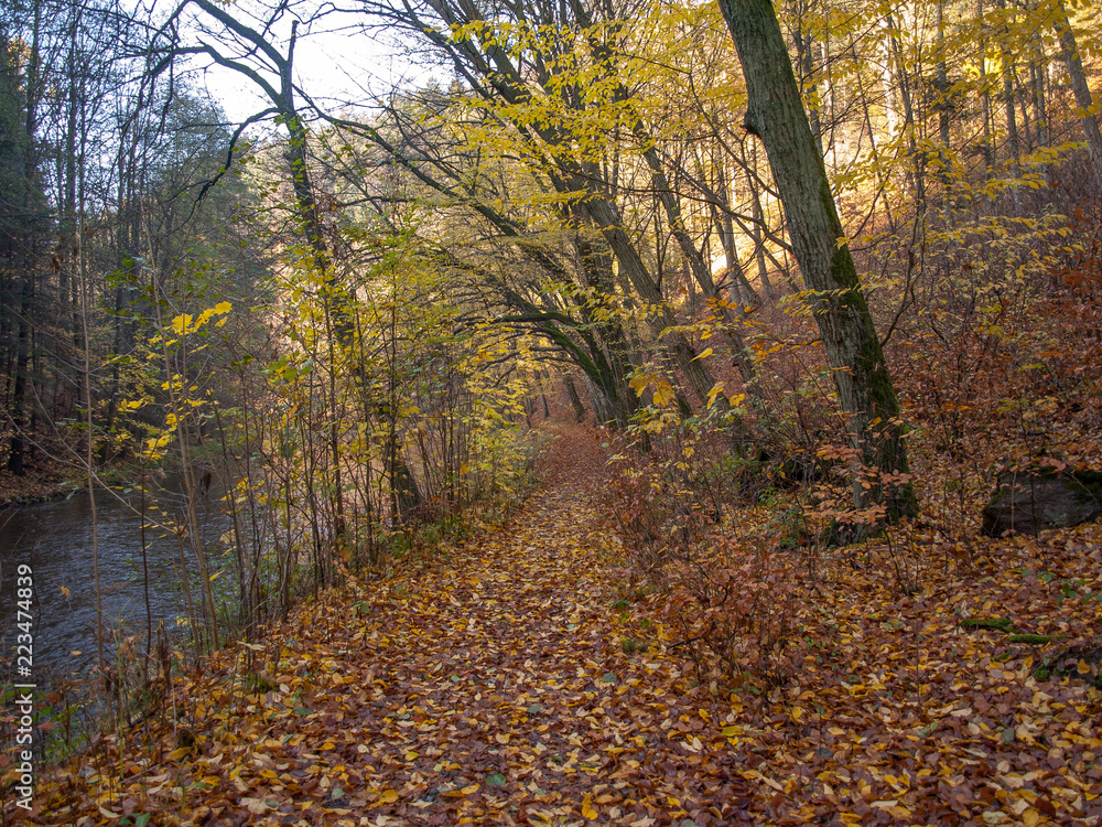 Obraz premium OLYMPUS DIGITAL CAMERA