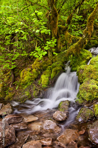 Small cascade waterfall flowing into rocks photo