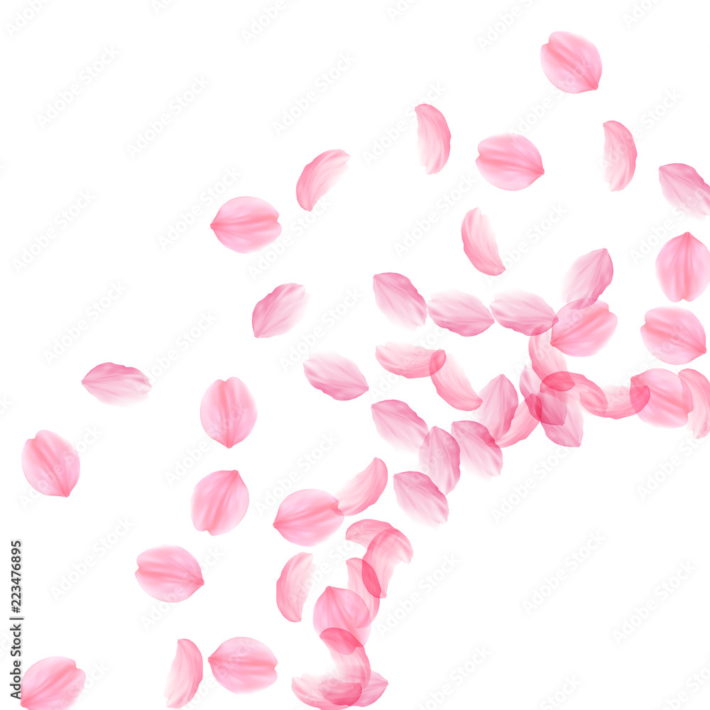 Sakura petals falling down. Romantic pink silky big flowers. Thick flying cherry petals. Radiant cor