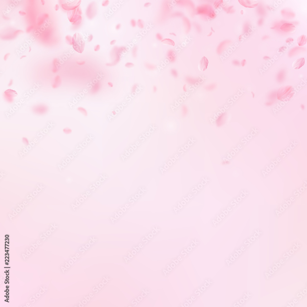 Sakura petals falling down. Romantic pink flowers gradient. Flying petals on pink square background. Sakura petals falling down. Romantic pink flowers gradient. Flying petals on pink square background.