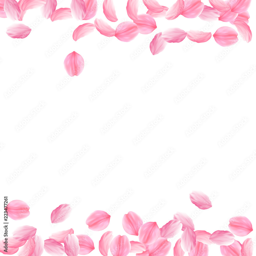 Sakura petals falling down. Romantic pink bright big flowers. Thick flying cherry petals. Borders am