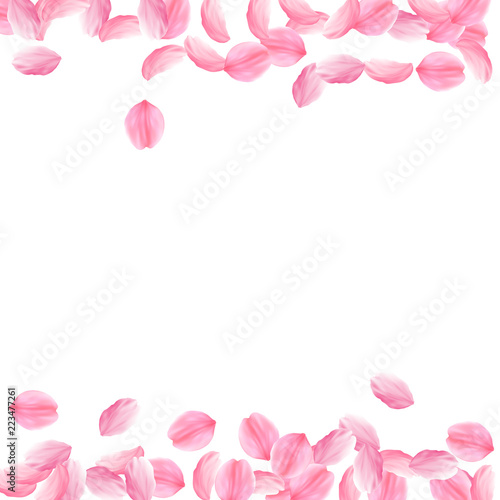 Wallpaper Mural Sakura petals falling down. Romantic pink bright big flowers. Thick flying cherry petals. Borders am Torontodigital.ca