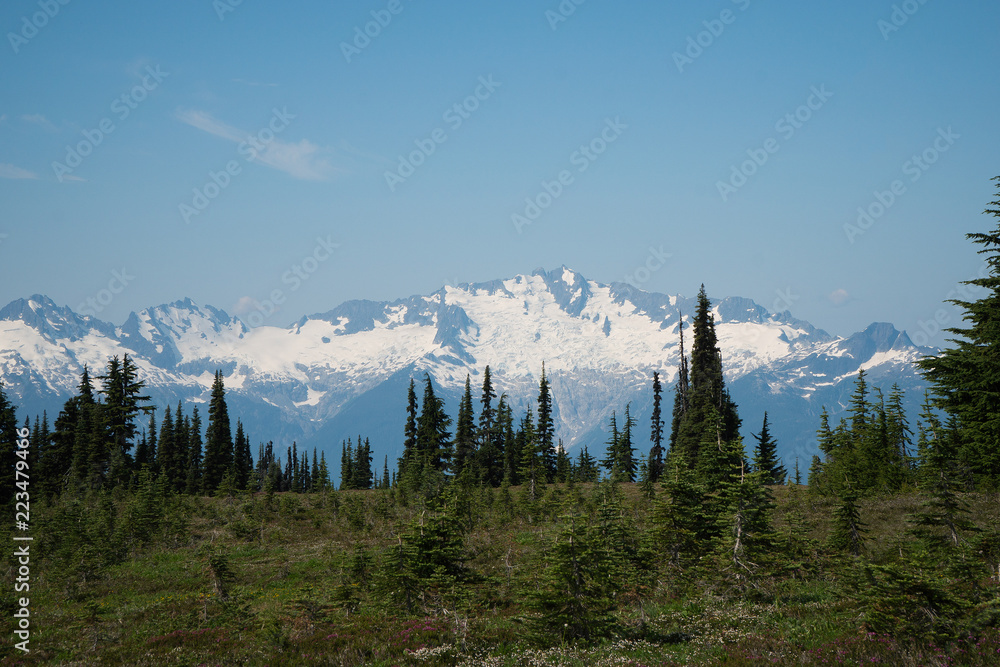 Beautiful landscape in Garibaldi provincial park, British Columbia, Canada.