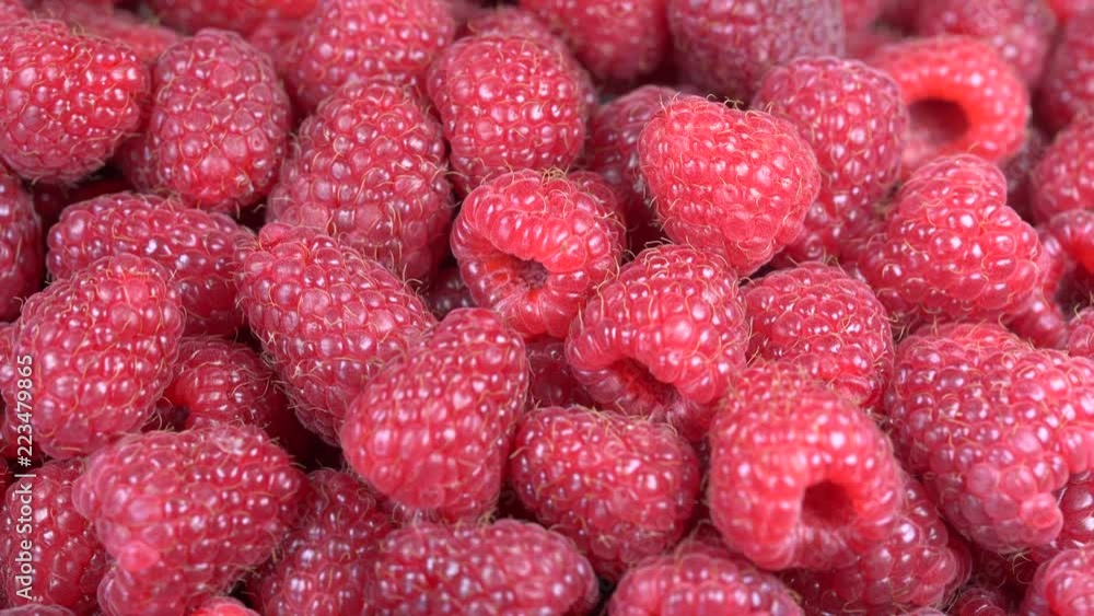 Fresh, ripe, juicy raspberry background, close up berry, rotation loopable 4k top view. Food background. Gastronomy concept, organic food. Macro red raspberries fruit Fresh, ripe, juicy raspberry background, close up berry, rotation loopable 4k top view. Food background. Gastronomy concept, organic food. Macro red raspberries fruit