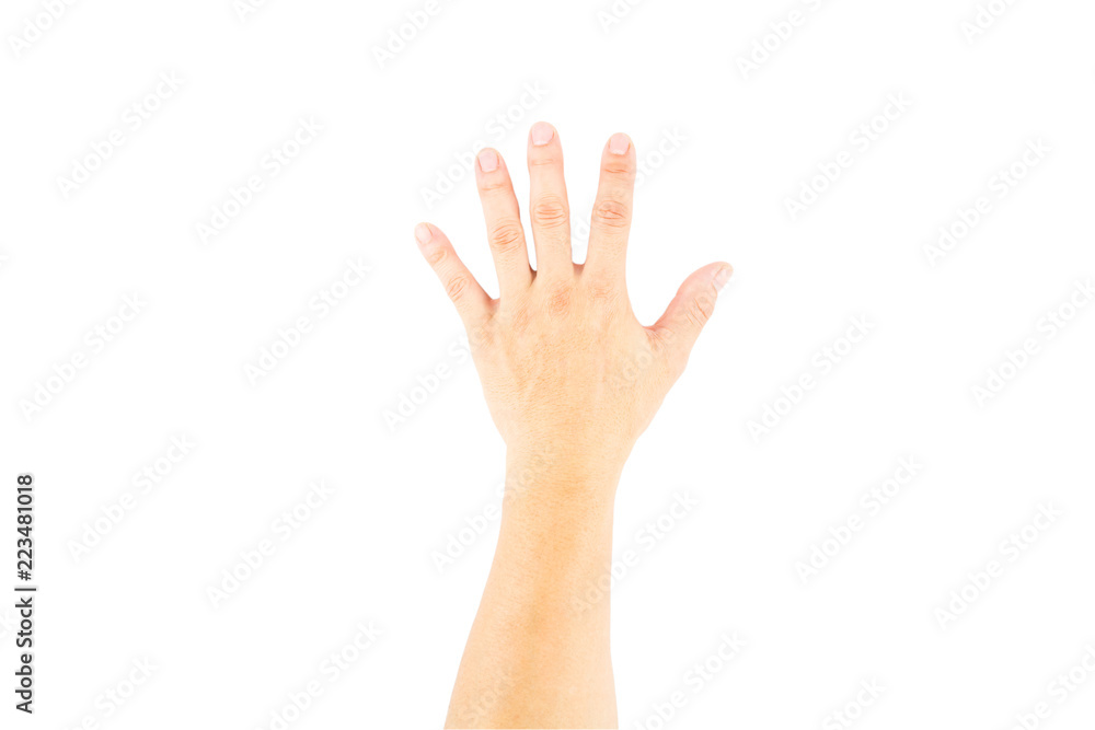 Asian male hand on white background . Asian male hand on white background .