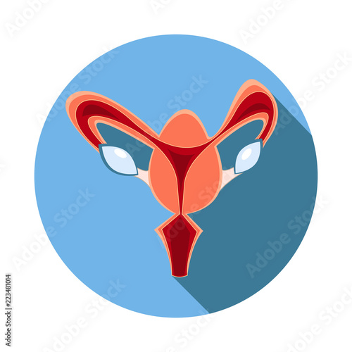 Uterus illustration. Human internal organs. Vector illustration.Cartoon style.
