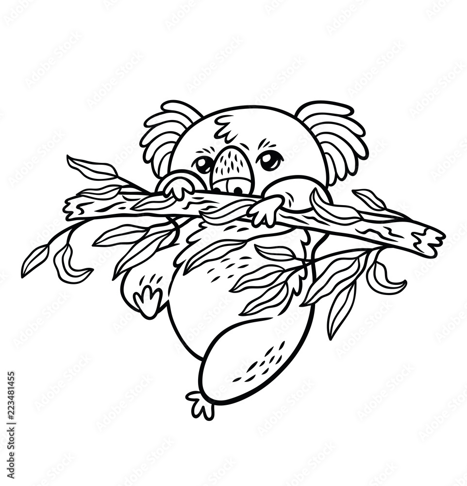 Fototapeta premium Rysunek ręka wektor koala w stylu cartoon. Szkic konturów zwierząt
