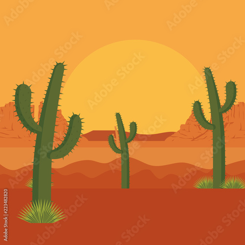 desert with cactus scene