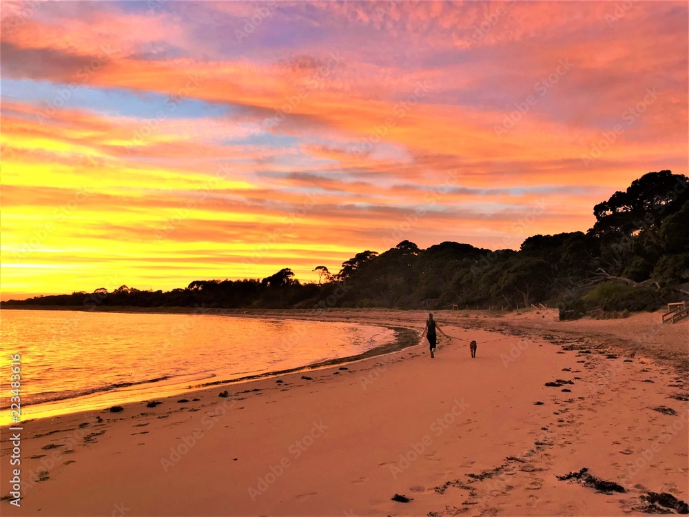 Women walking Dog on Beach during Sunrise on Phillip Island, Australia
