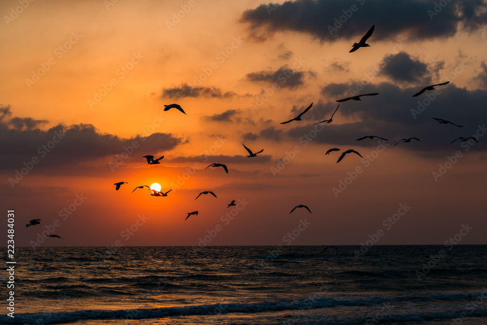 Fototapeta premium Sunset summer sun on the sea coast
