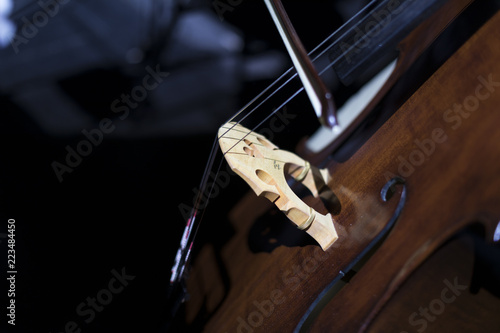 A part of a double bass © Janisphoto