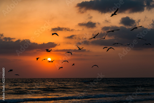 Sunset summer sun on the sea coast © blagnoy
