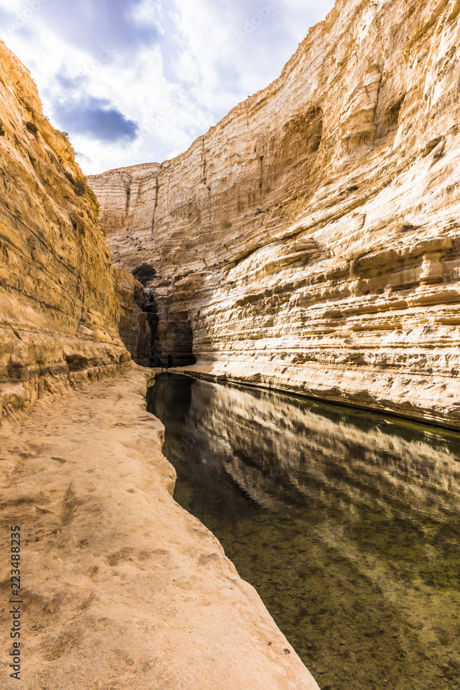 Fototapeta premium The Tsin river flows through the gorge in the Negev desert