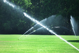 Green lawn sprinkled with automatic sprinkler