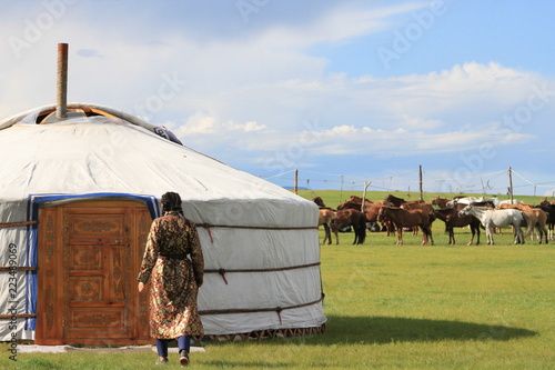 Mongolian yurt, horses and woman