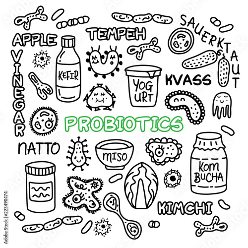 Probiotics bacteria food medicine set gut bacterial flora