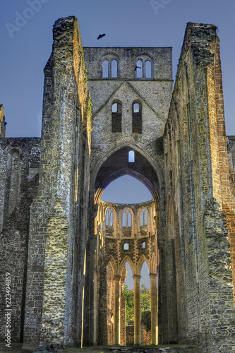 Abbaye de Hambye 02
