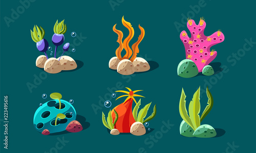 Seaweed and underwater plants set  colorful fantasy plants  user interface assets for mobile apps or video games details vector Illustration