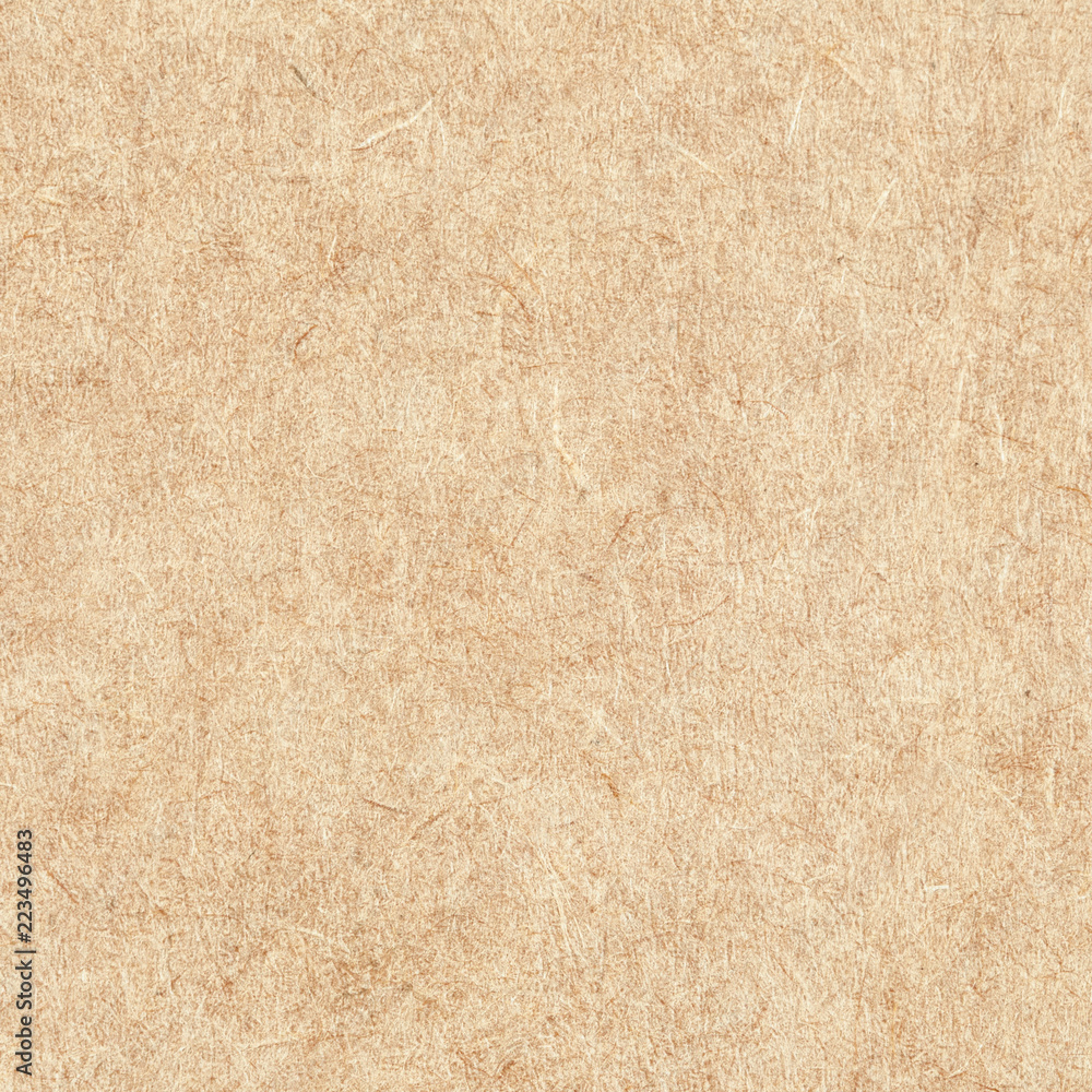 Cardboard Texture Cardboard Texture