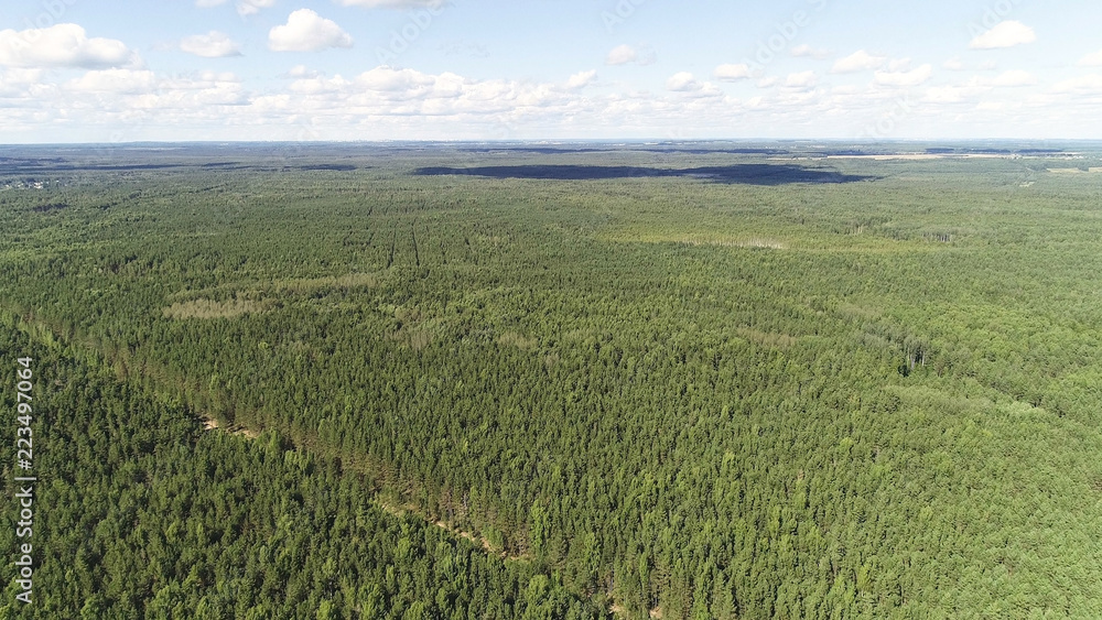Aerial beautiful view of the green forest. Landscape with sky and forest. Aerial beautiful view of the green forest. Landscape with sky and forest.