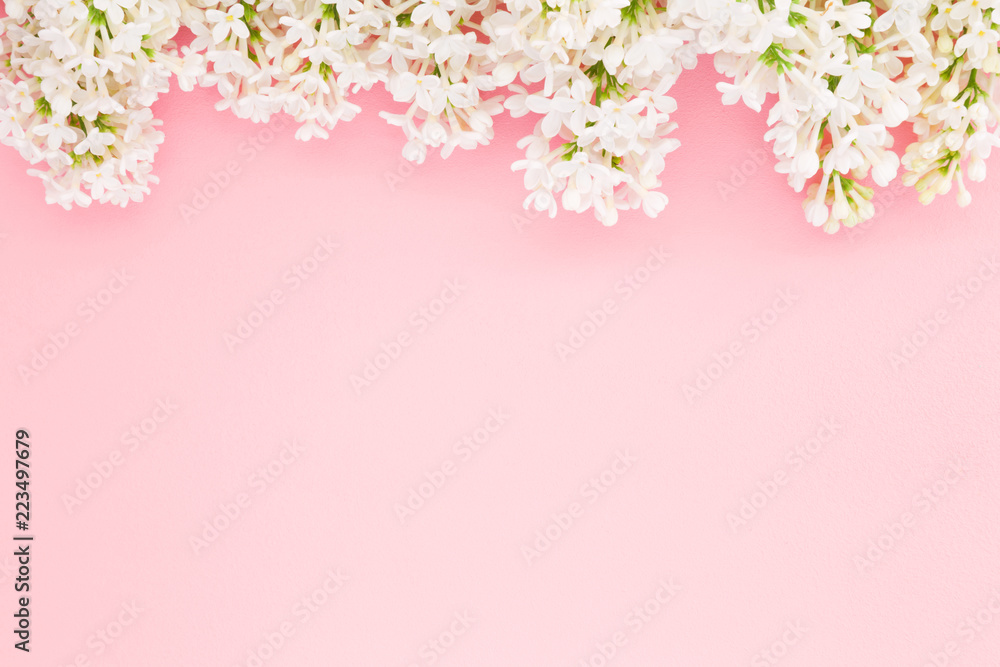 Fresh branches of white lilac on pastel pink background. Soft light color.  Greeting card. Mockup for positive ideas. Empty place for inspirational,  emotional, sentimental text, quote or sayings. Stock Photo | Adobe