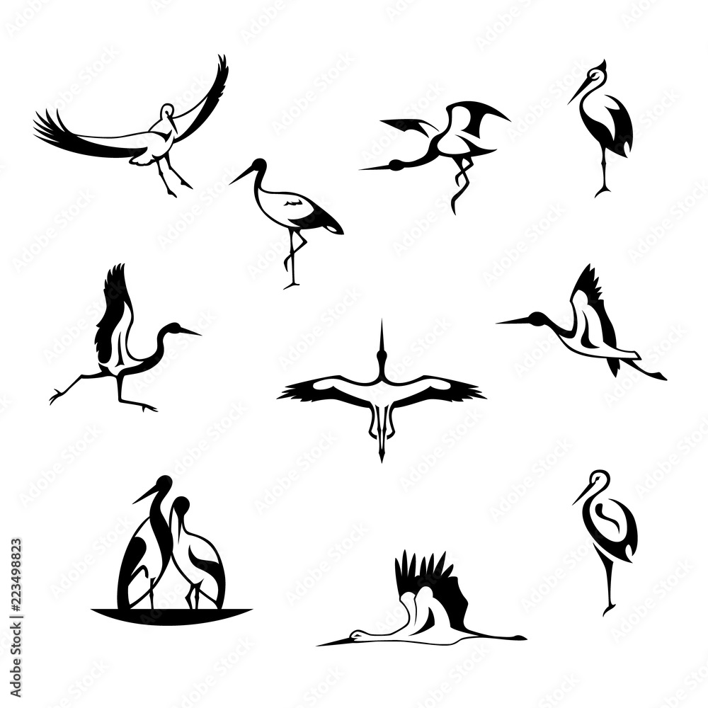 Fototapeta premium Abstract silhouette of storks. Logo for the company