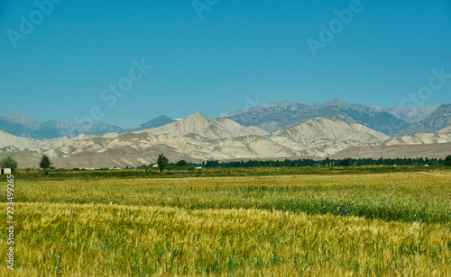 Naryn river valley © Fanfo