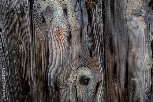 Texture d'une vieille porte en bois
