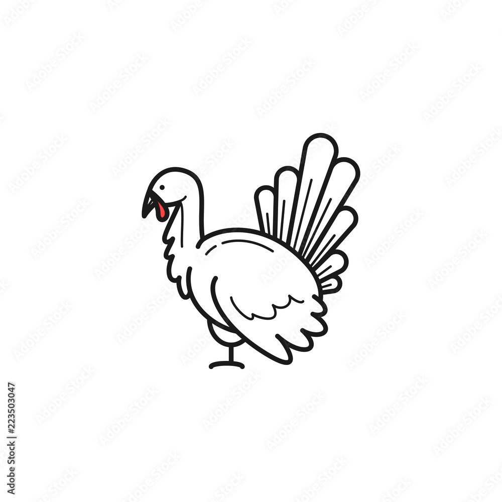 Fototapeta premium Vector turkey cock illustration on white background 