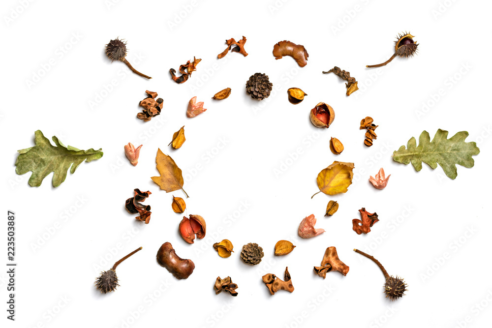 Creative pattern arrangement. Autumn composition made of dried leaves, berries and flower on white background. Flat lay, top view, copy space, empty text,mock up Inscription Autumn sale