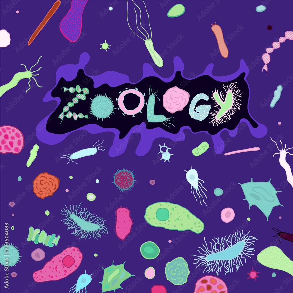 Zoology Bacteria Lettering