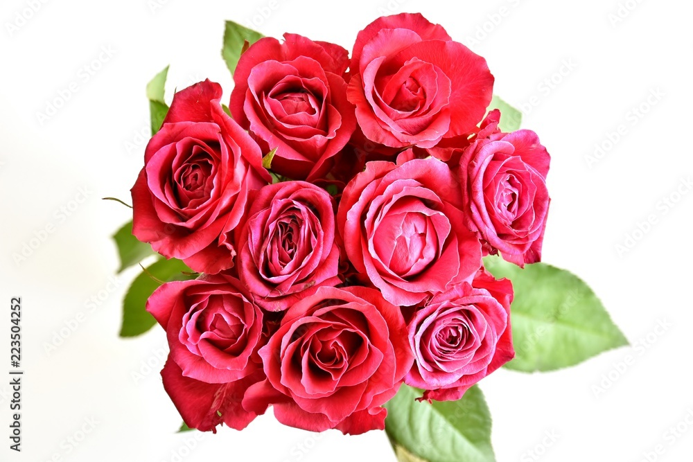 Roses Roses