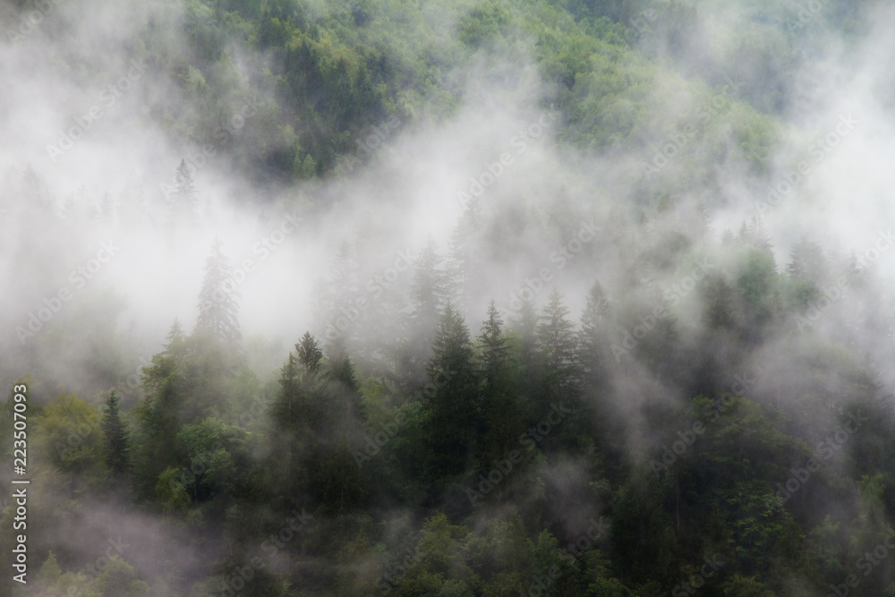 Clouds and fog in the green forest mountains in the Rhone valley near Brig and Sion in Switzerland, on a summer morning Clouds and fog in the green forest mountains in the Rhone valley near Brig and Sion in Switzerland, on a summer morning
