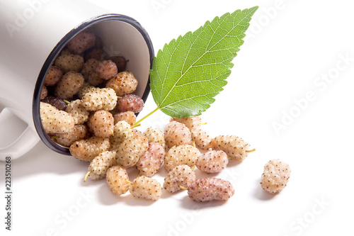 White cup with white mulberry fruit and leaf isolated on white.