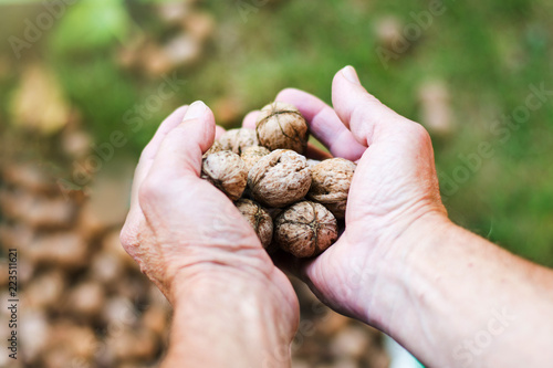 Man adding walnuts into the basket
