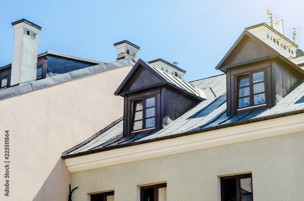 Roof of the house, chimneys, skylights