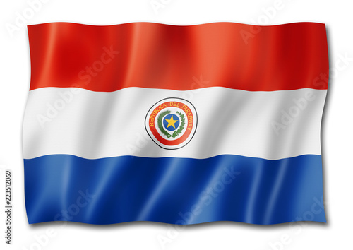 Free Download Paraguayan flag isolated on white - GFXLoad